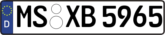 MS-XB5965