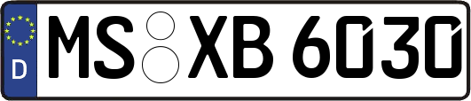 MS-XB6030
