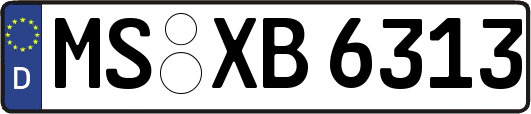 MS-XB6313
