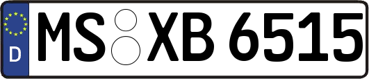 MS-XB6515