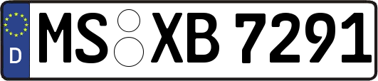 MS-XB7291