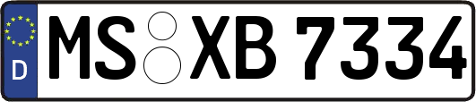 MS-XB7334