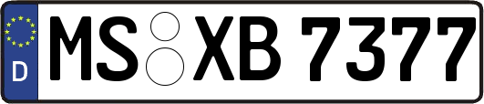 MS-XB7377