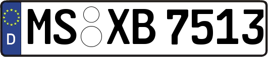 MS-XB7513
