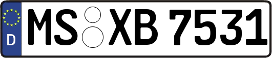 MS-XB7531