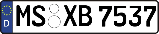 MS-XB7537
