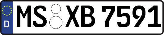 MS-XB7591