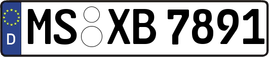 MS-XB7891