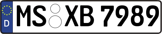 MS-XB7989