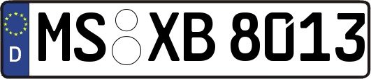 MS-XB8013