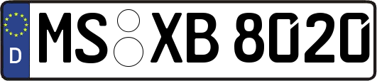 MS-XB8020
