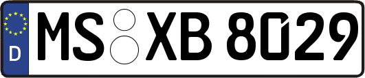 MS-XB8029