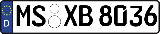 MS-XB8036