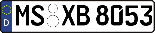MS-XB8053
