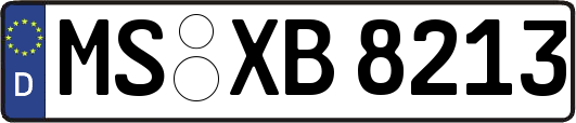 MS-XB8213