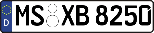 MS-XB8250