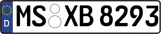 MS-XB8293
