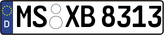 MS-XB8313
