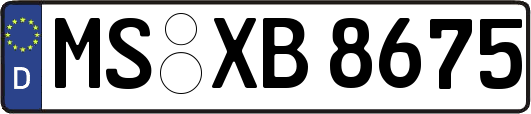 MS-XB8675