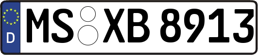MS-XB8913