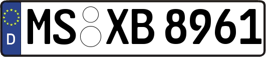 MS-XB8961