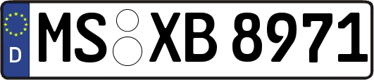MS-XB8971