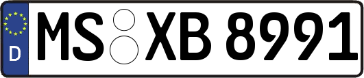 MS-XB8991