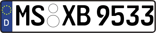 MS-XB9533