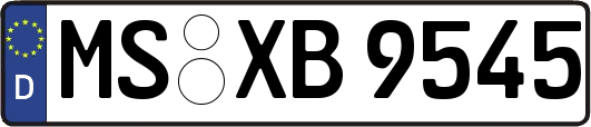 MS-XB9545