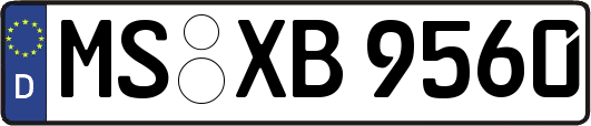 MS-XB9560