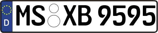 MS-XB9595