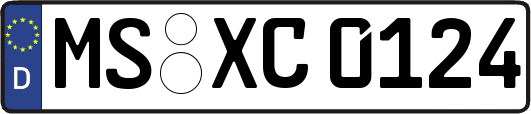 MS-XC0124