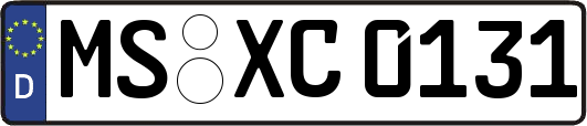 MS-XC0131