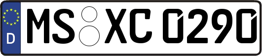 MS-XC0290