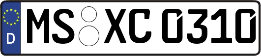 MS-XC0310