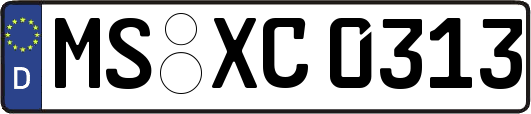 MS-XC0313