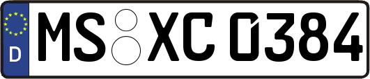 MS-XC0384