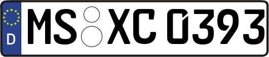 MS-XC0393