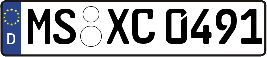 MS-XC0491