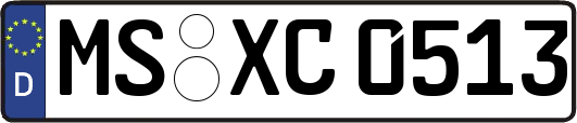 MS-XC0513