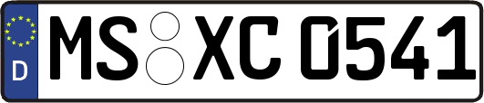 MS-XC0541