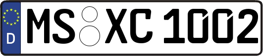 MS-XC1002