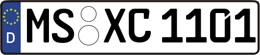 MS-XC1101