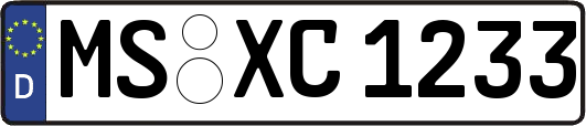 MS-XC1233