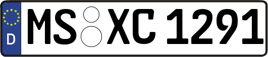 MS-XC1291