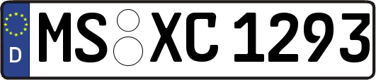MS-XC1293