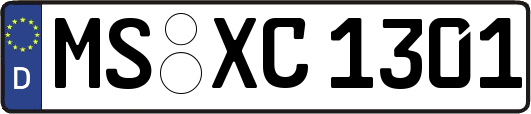 MS-XC1301