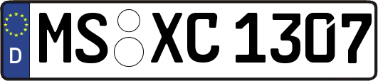 MS-XC1307
