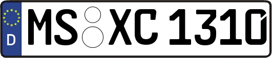 MS-XC1310