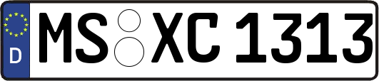 MS-XC1313